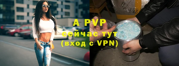 трава Арсеньев