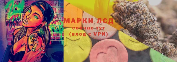 трава Арсеньев