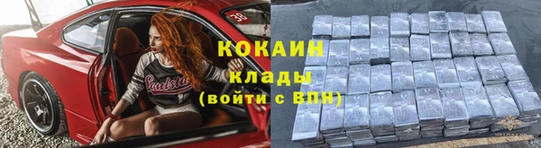 трава Арсеньев