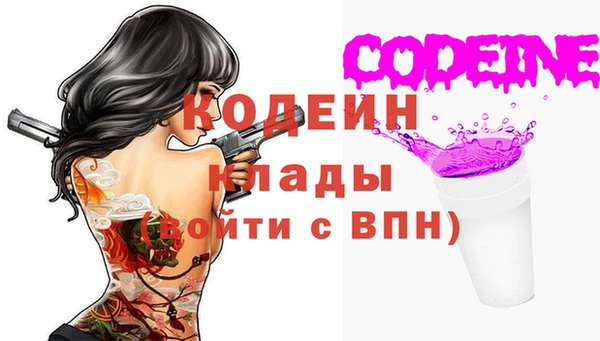 соль ск Снежинск